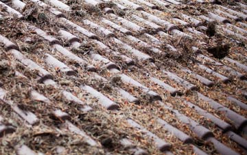 Swaythling roof cleaning companies