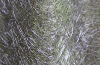 Swaythling fibreglass roof work